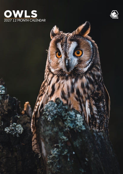 Owls - A3 Calendar 2027