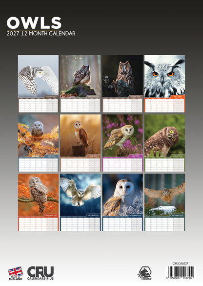 Owls - A3 Calendar 2027