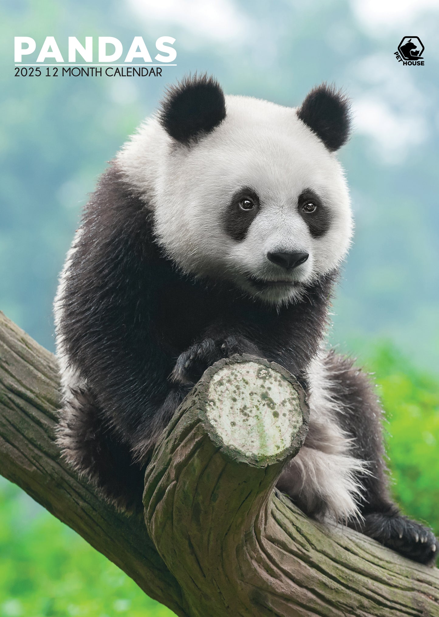 Pandas Calendar 2025