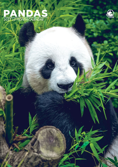Pandas - A3 Calendar 2027