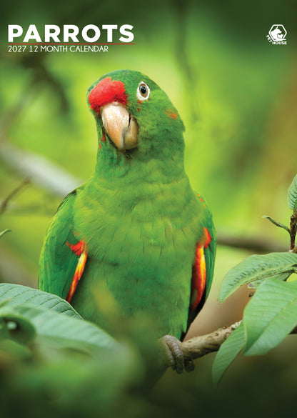 Parrots - Calendar 2027