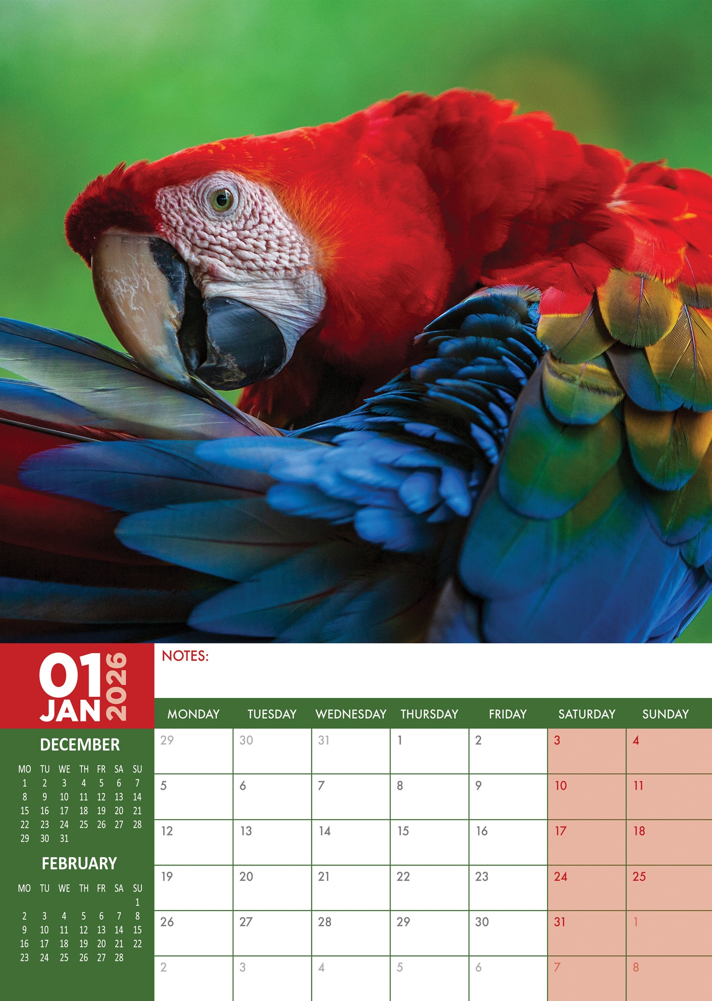 Parrots - Calendar 2026