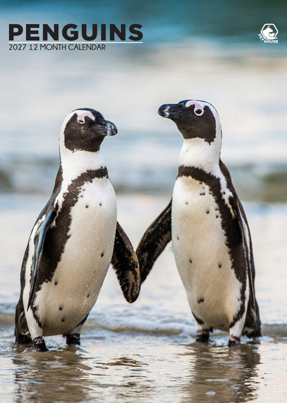 Penguins - A3 Calendar 2027