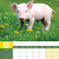 Piglets Calendar 2025