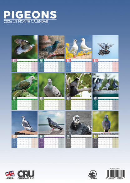 Pigeons - A3 Calendar 2026
