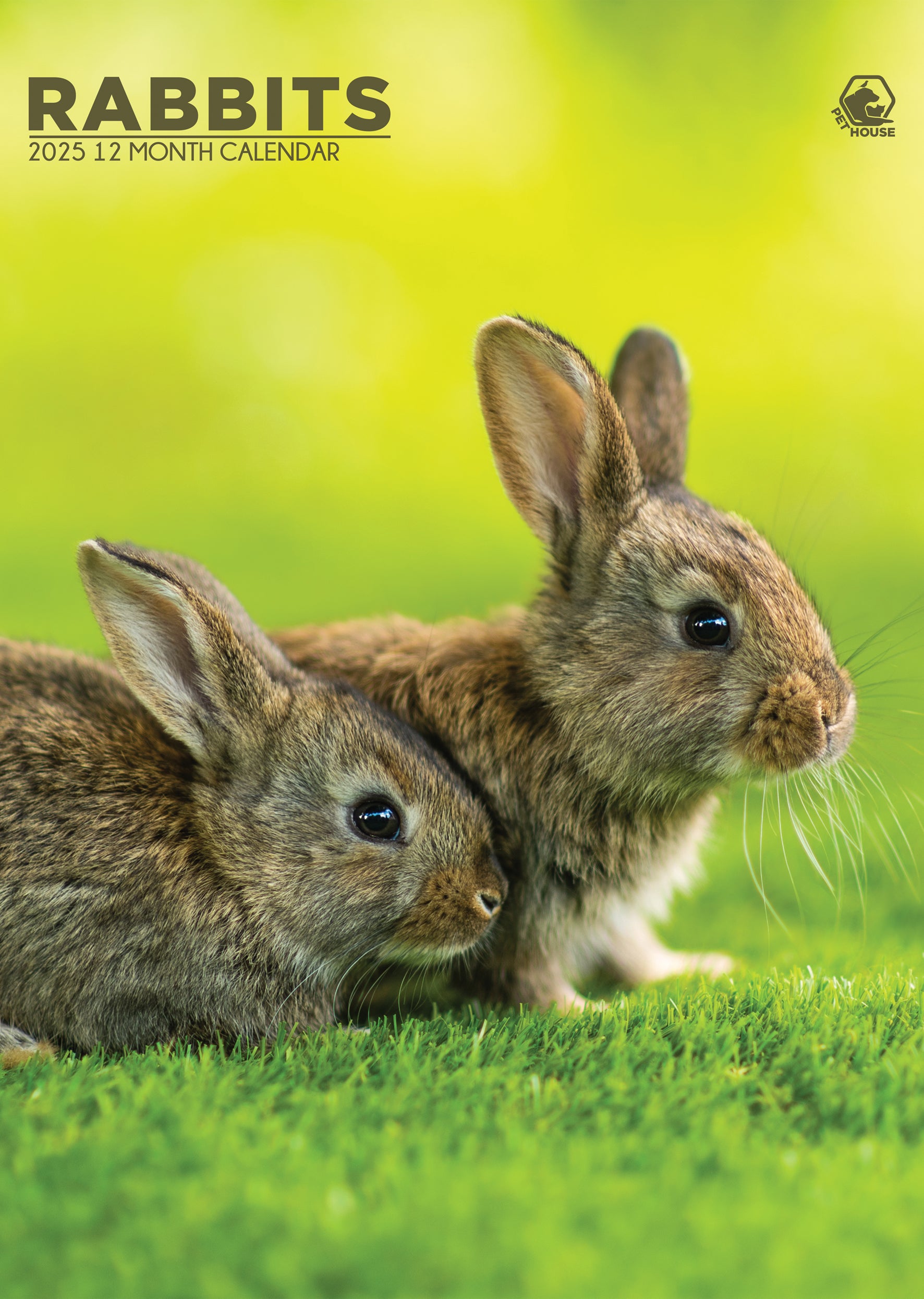 Calender 2025 Rustic Rabbit Rabbits Calendar 2025 – CalendarsRus