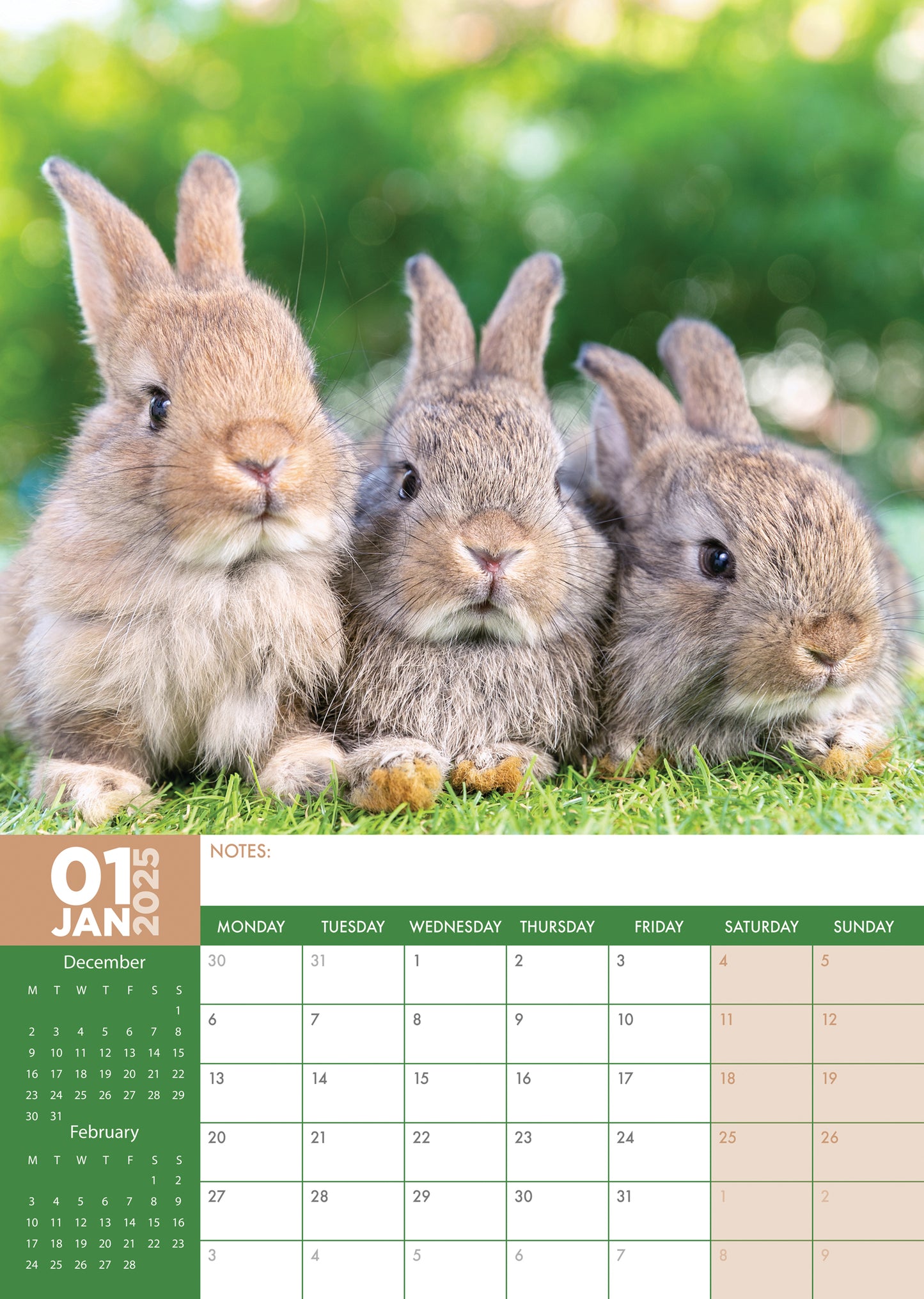 Rabbits Calendar 2025