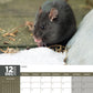 Rats Calendar 2025