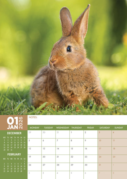 Rabbits - A3 Calendar 2026
