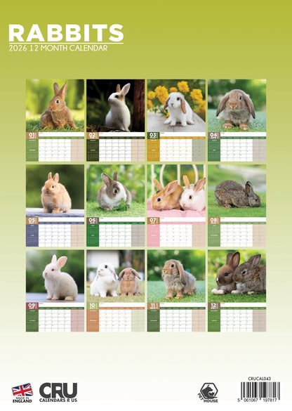 Rabbits - A3 Calendar 2026