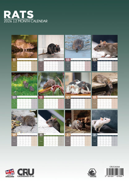 Rats - A3 Calendar 2026