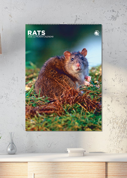 Rats - A3 Calendar 2026