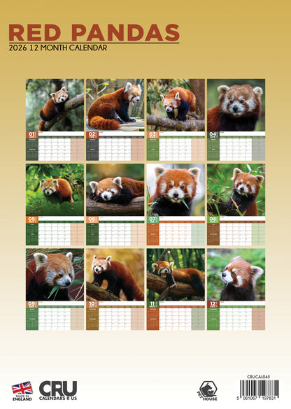 Red Panda - A3 Calendar 2026