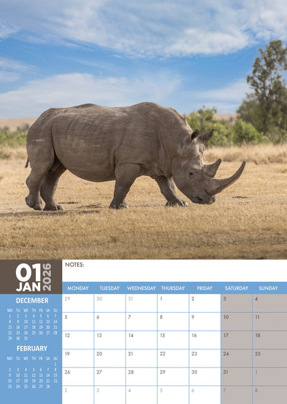 Rhinos - A3 Calendar 2026