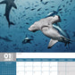 Sharks Calendar 2025