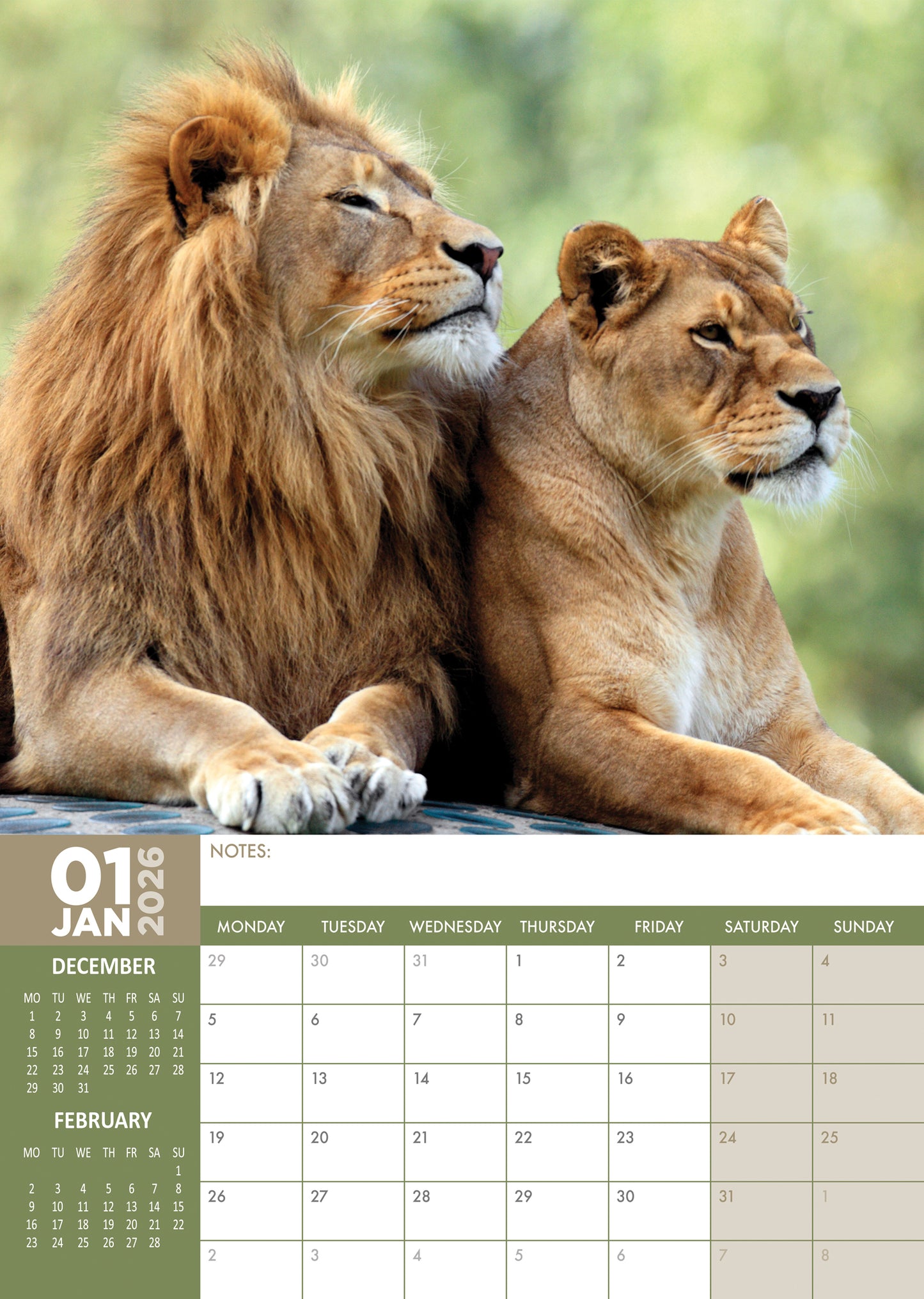Safari - A3 Calendar 2026
