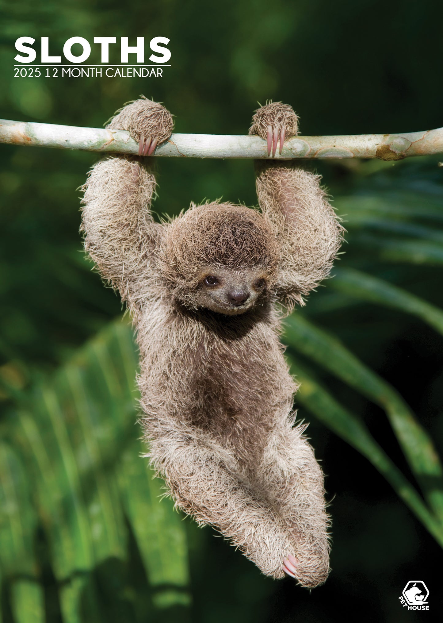 Sloths Calendar 2025 CalendarsRus
