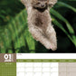 Sloths Calendar 2025