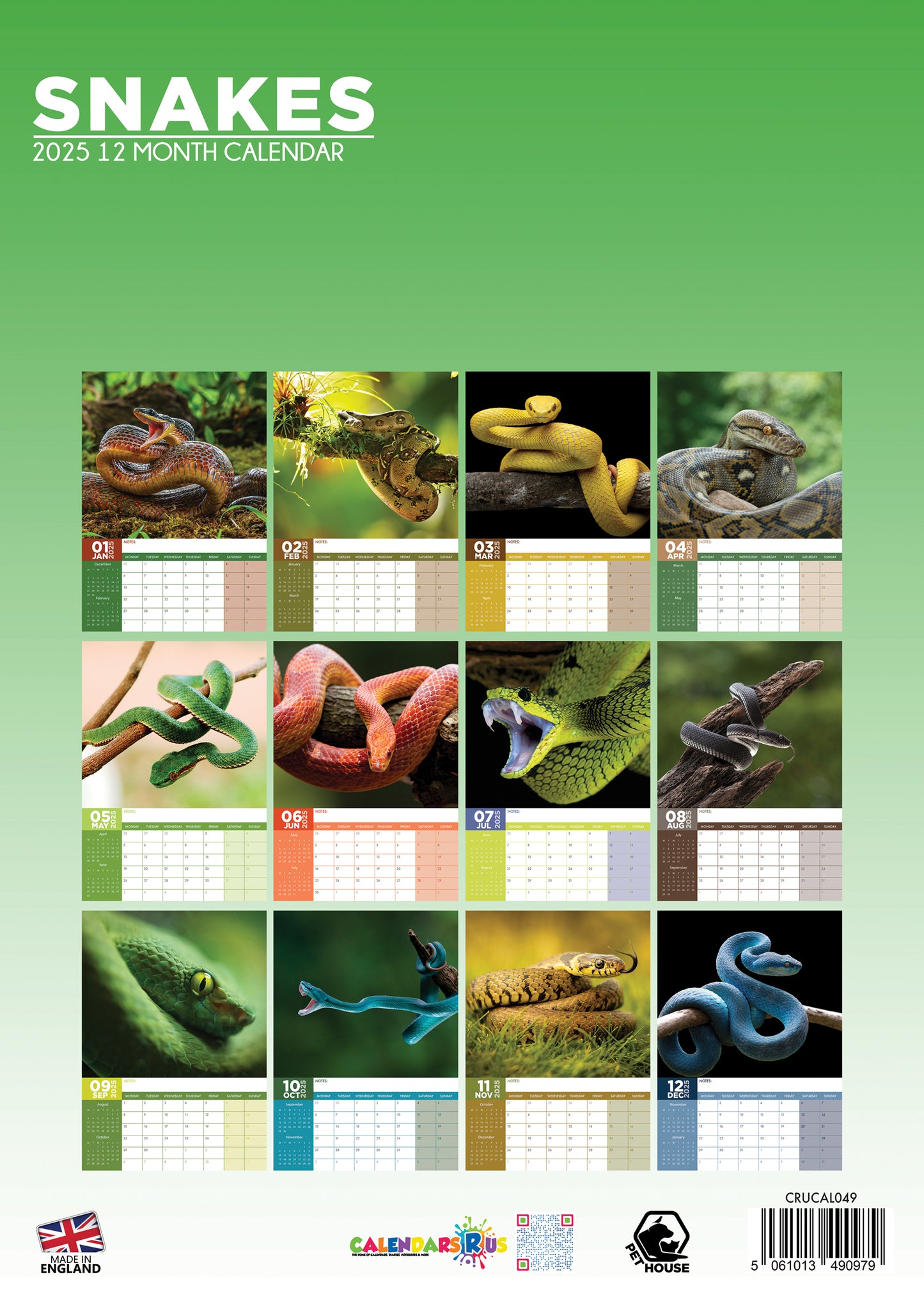 Snakes Calendar 2024 CalendarsRus