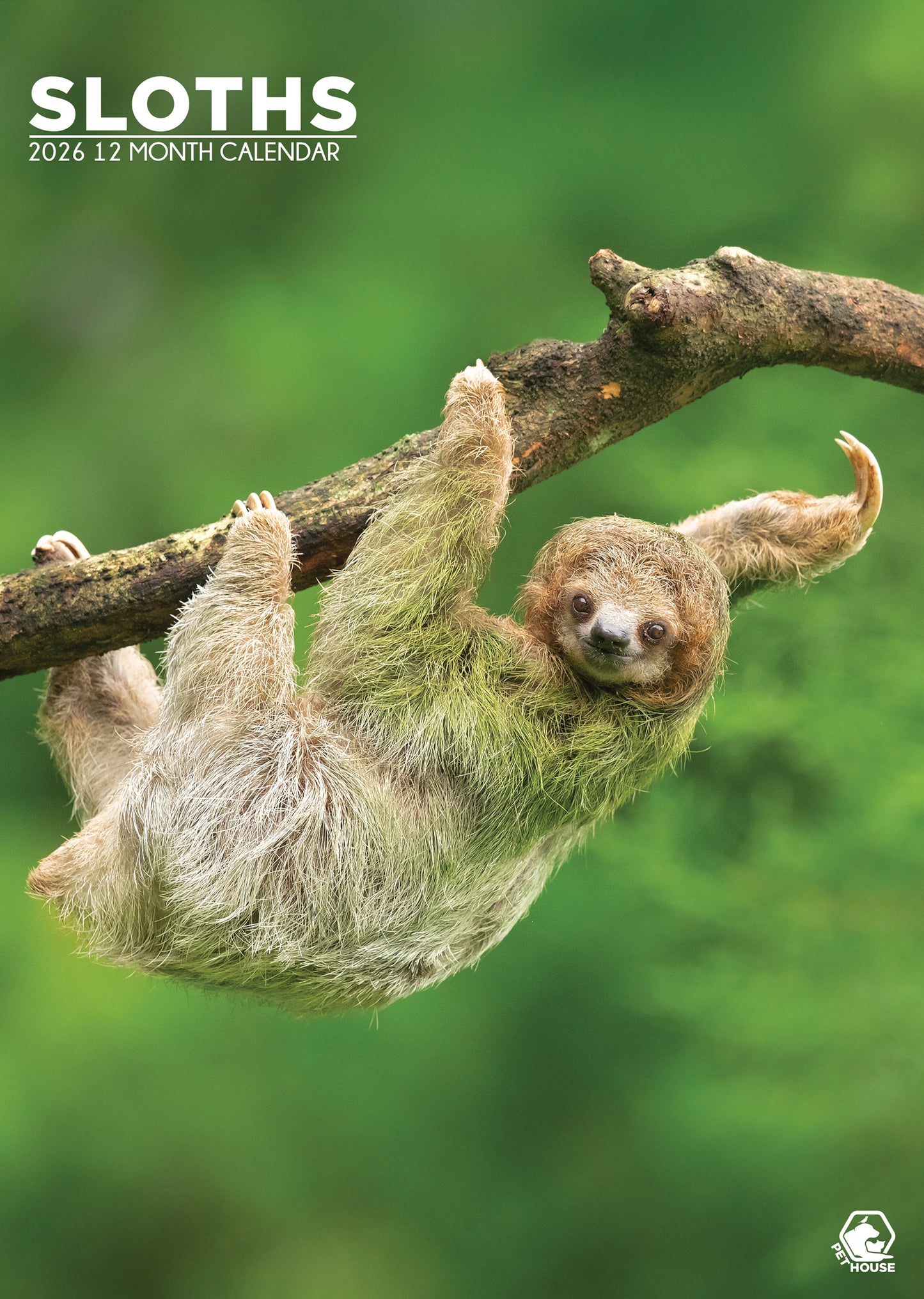 Sloths - A3 Wholesale