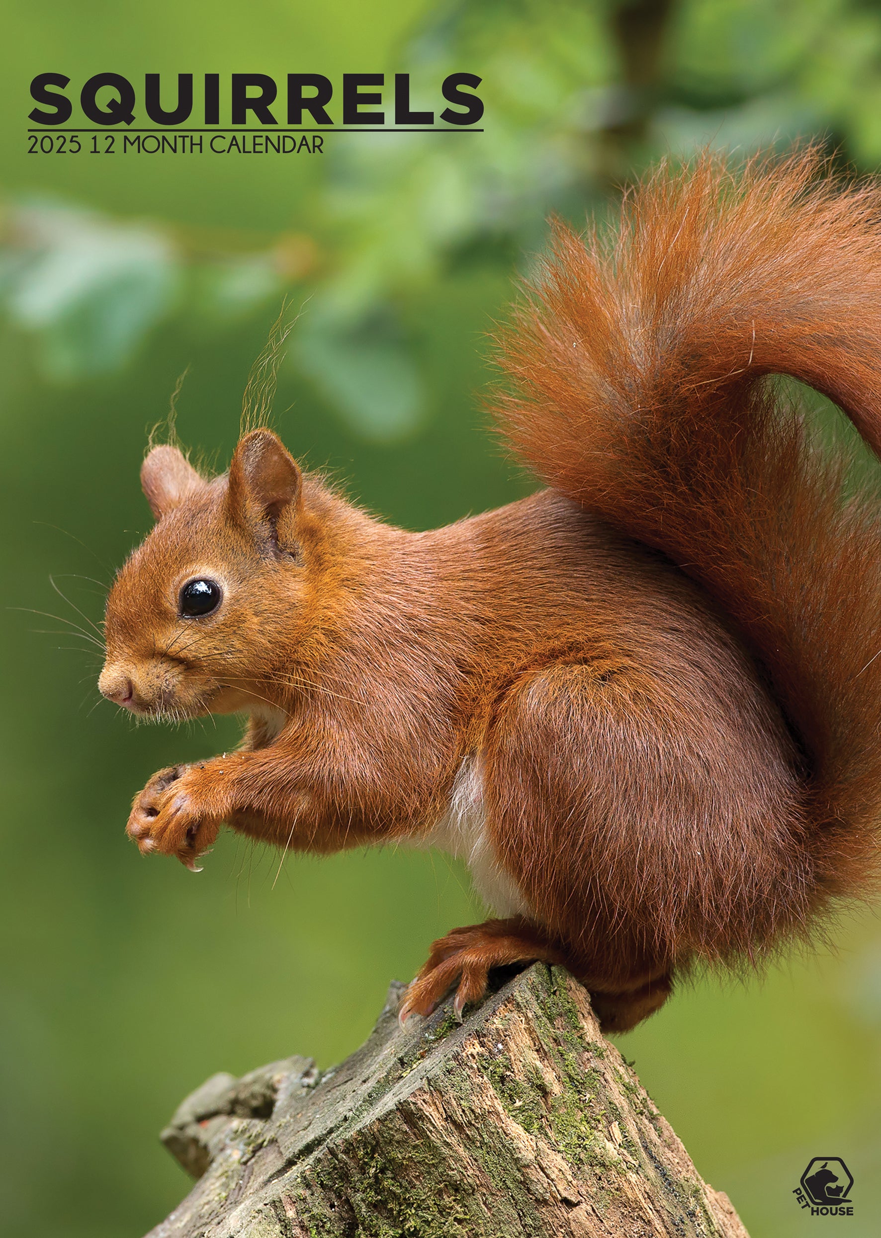 Squirrels Calendar 2025 CalendarsRus