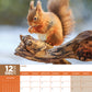 Squirrels Calendar 2025