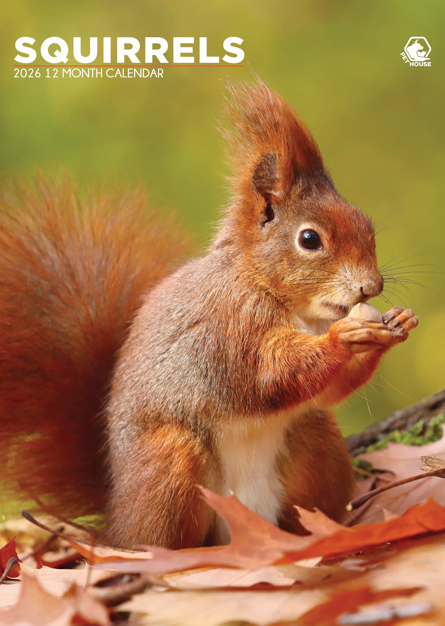 Squirrels - A3 Calendar 2026