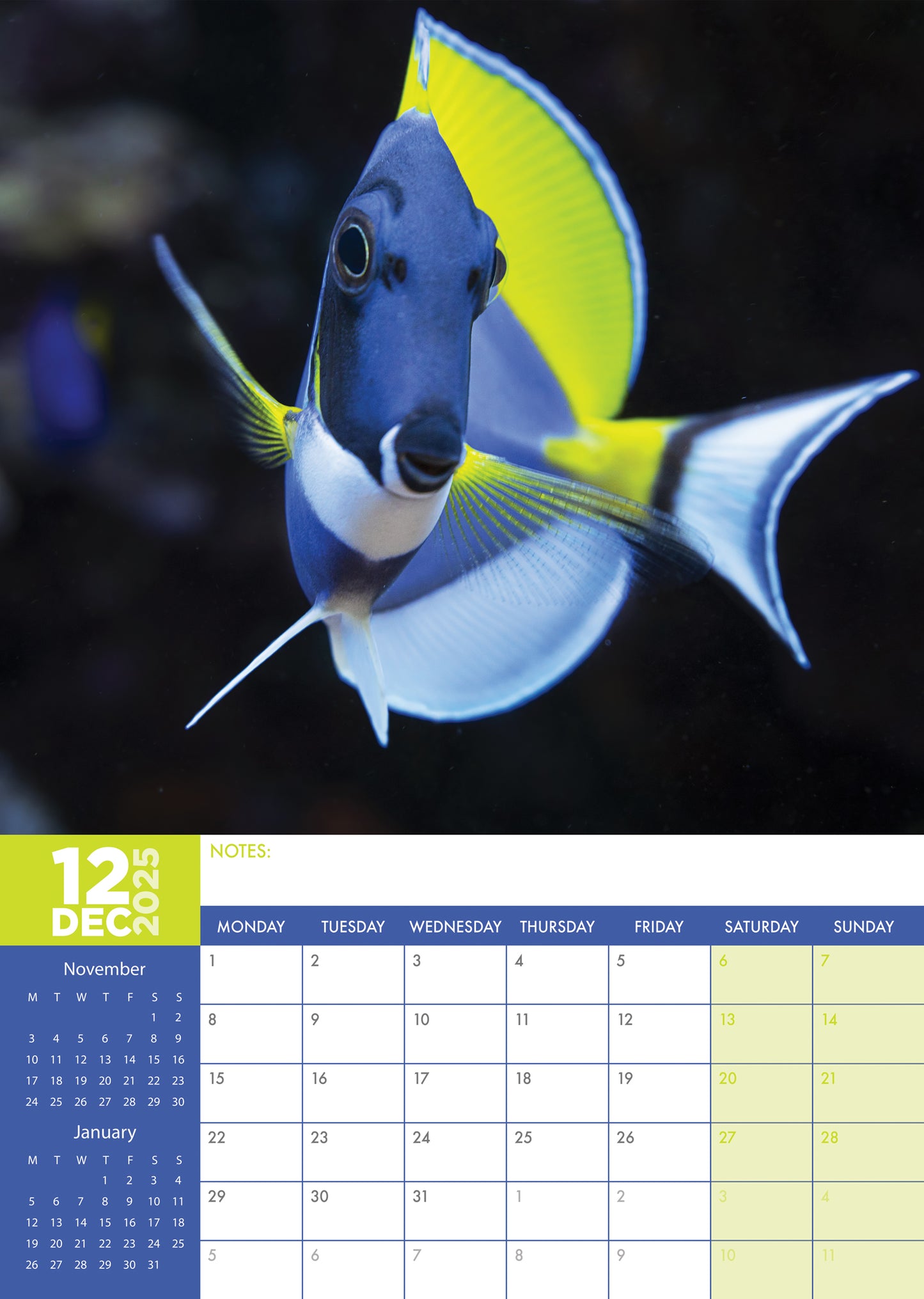 Tropical Fish Calendar 2025