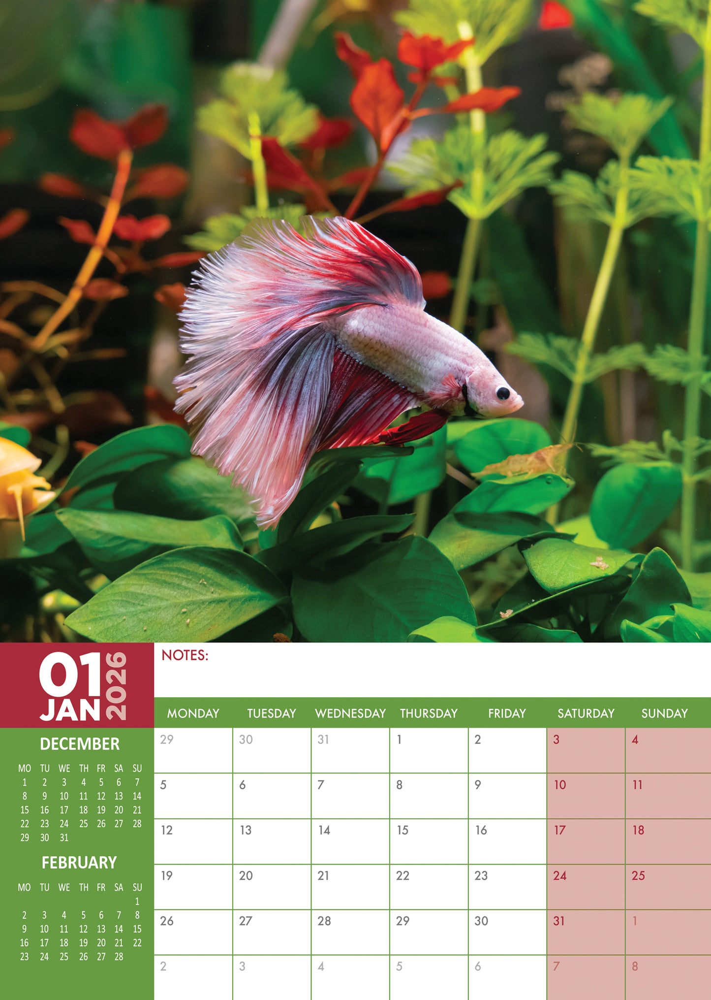 Tropical Fish - A3 Calendar 2026