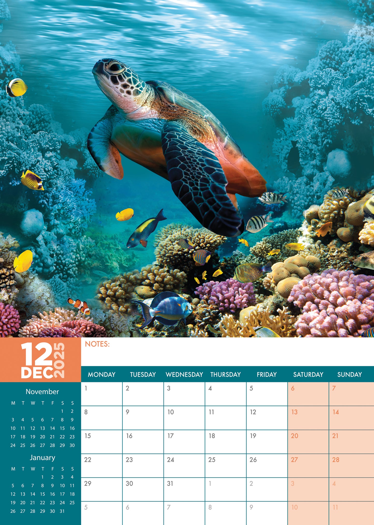 Under The Sea Calendar 2025