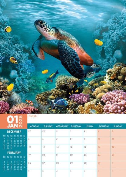 Turtles - A3 Calendar 2026