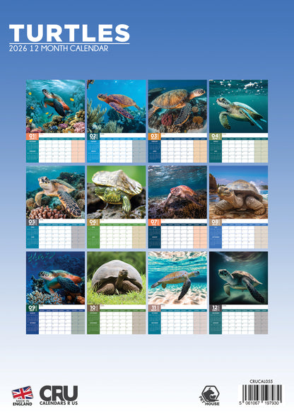 Turtles - A3 Calendar 2026