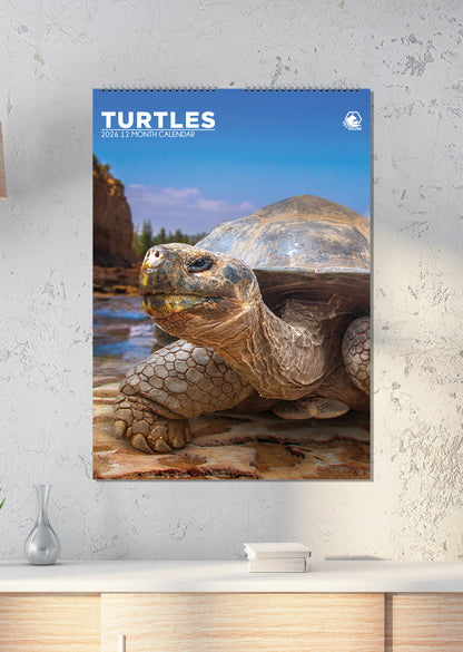 Turtles - A3 Calendar 2026