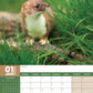 British Wildlife Calendar 2025