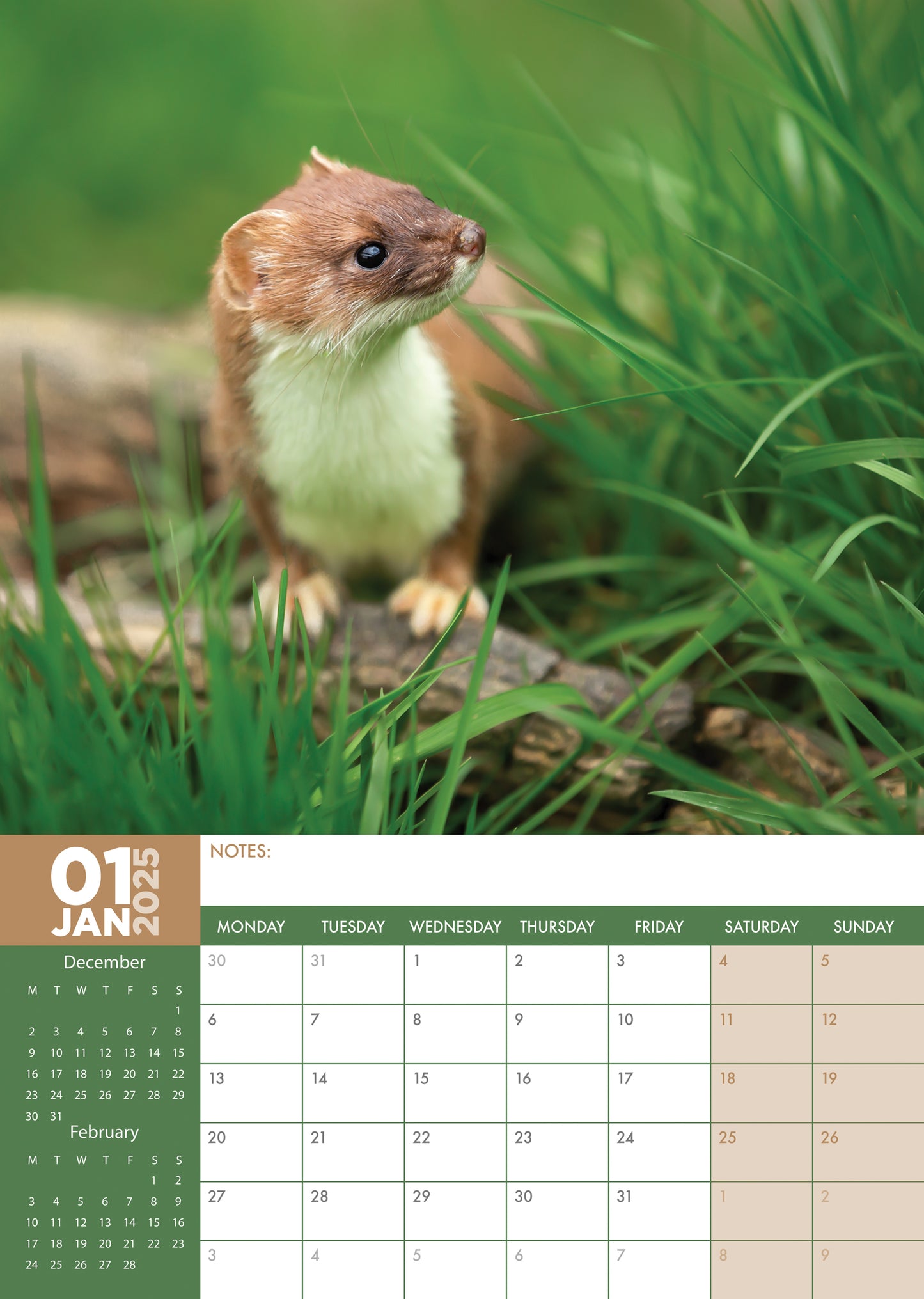 British Wildlife Calendar 2025