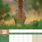 British Wildlife Calendar 2025