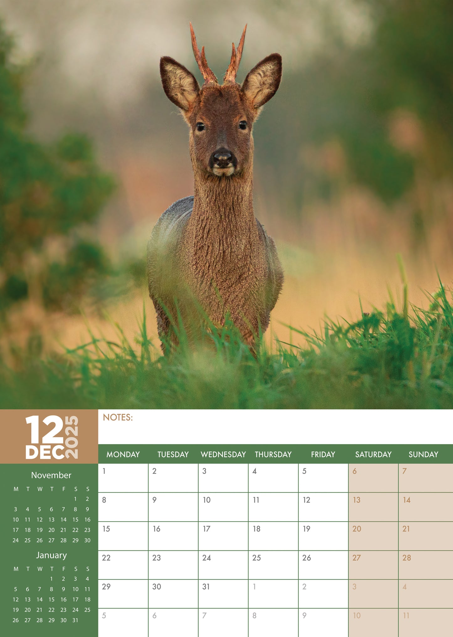 British Wildlife Calendar 2025