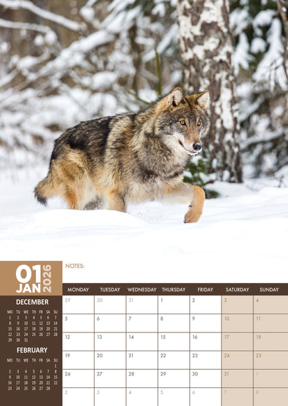 Wolves - A3 Calendar 2026