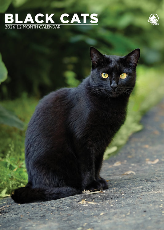 Black Cats - A3 Wholesale