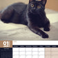 Black Cats Calendar 2025