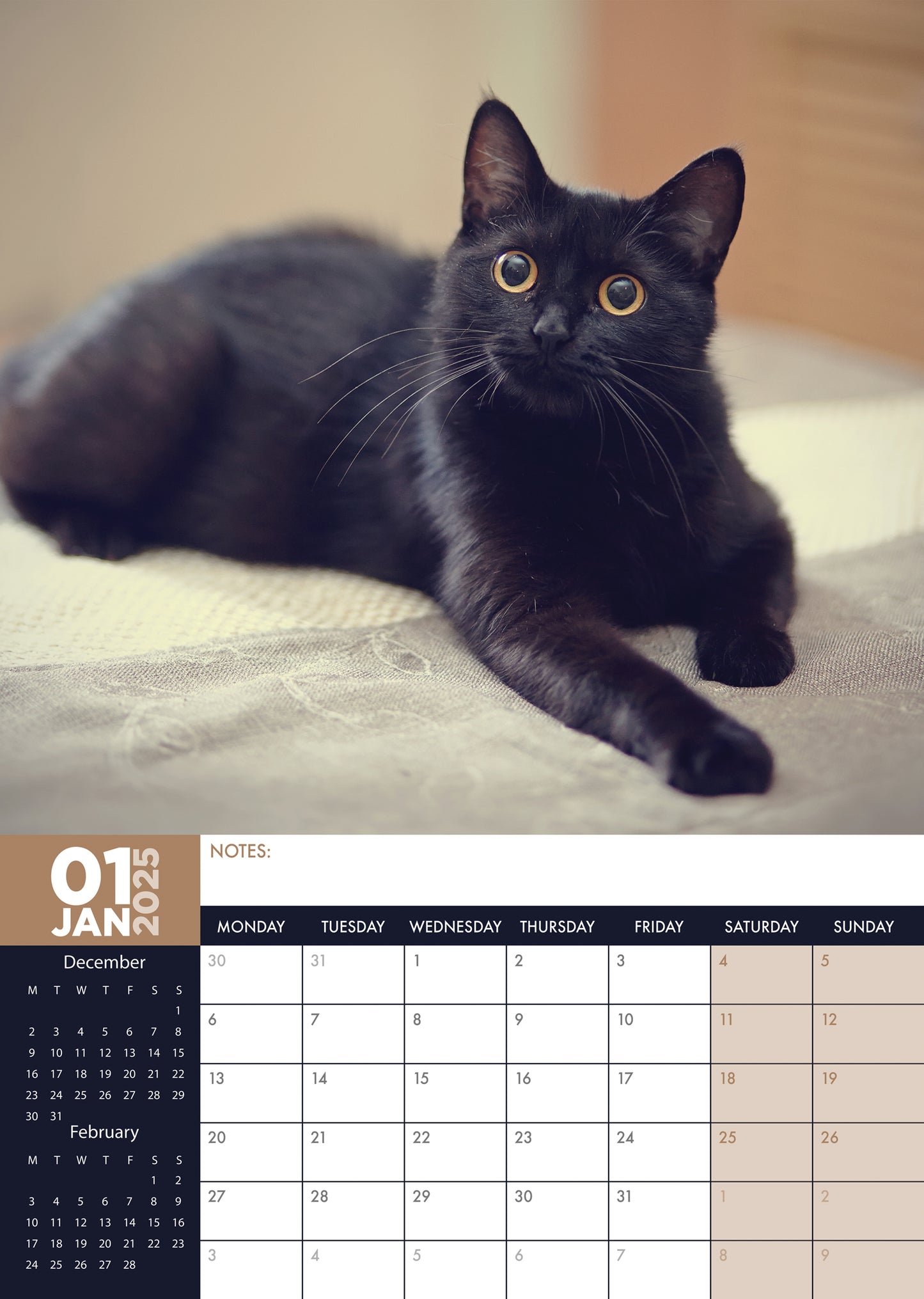 Black Cats Calendar 2025