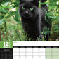 Black Cats Calendar 2025