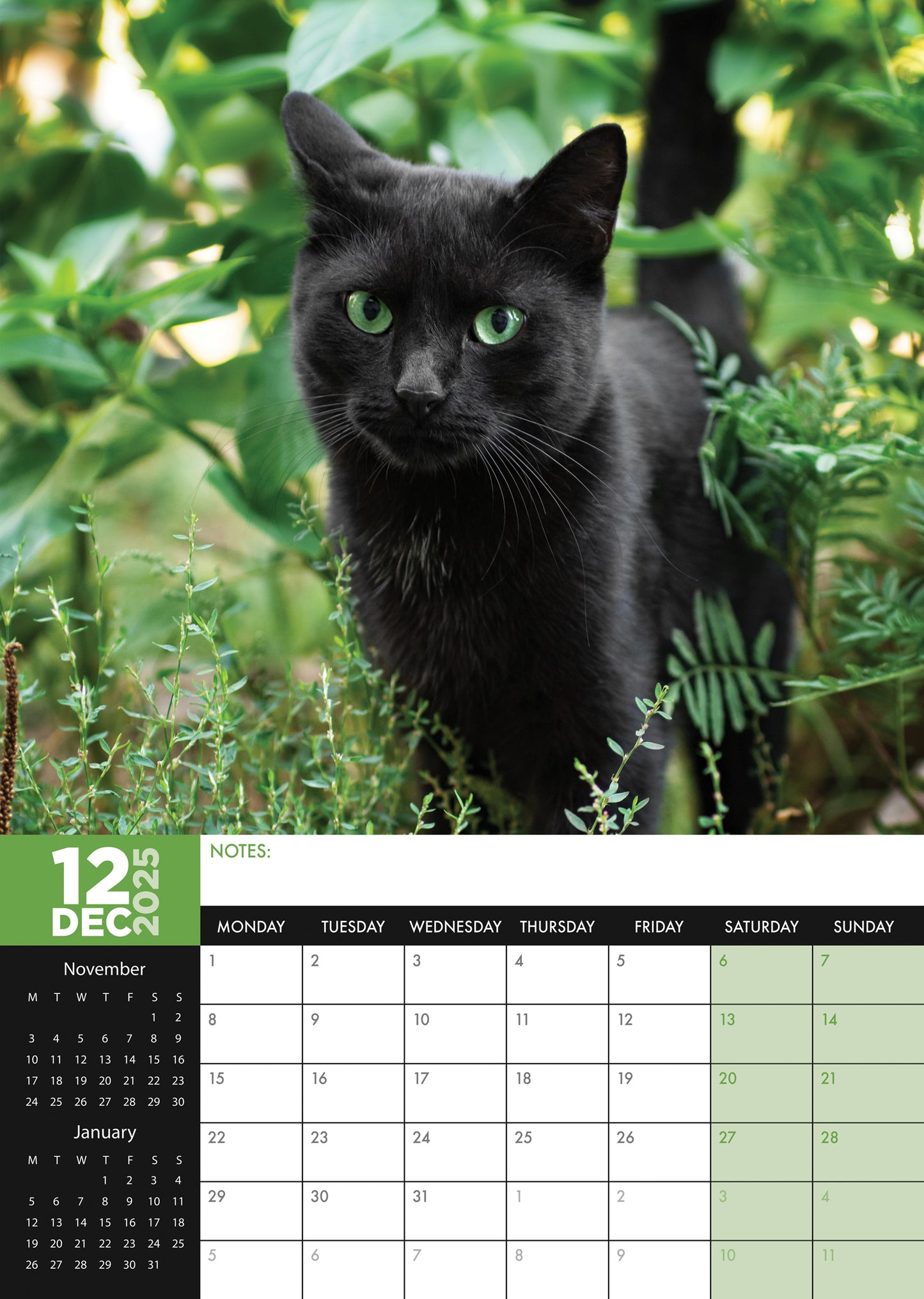 Black Cats Calendar 2025