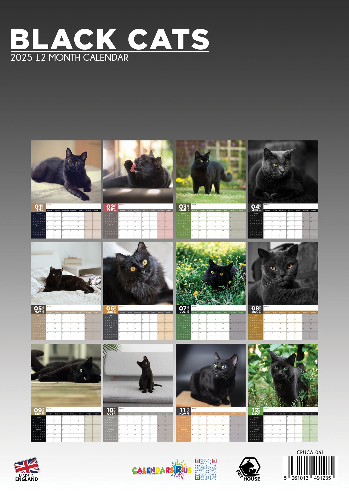 Black Cats Calendar 2025