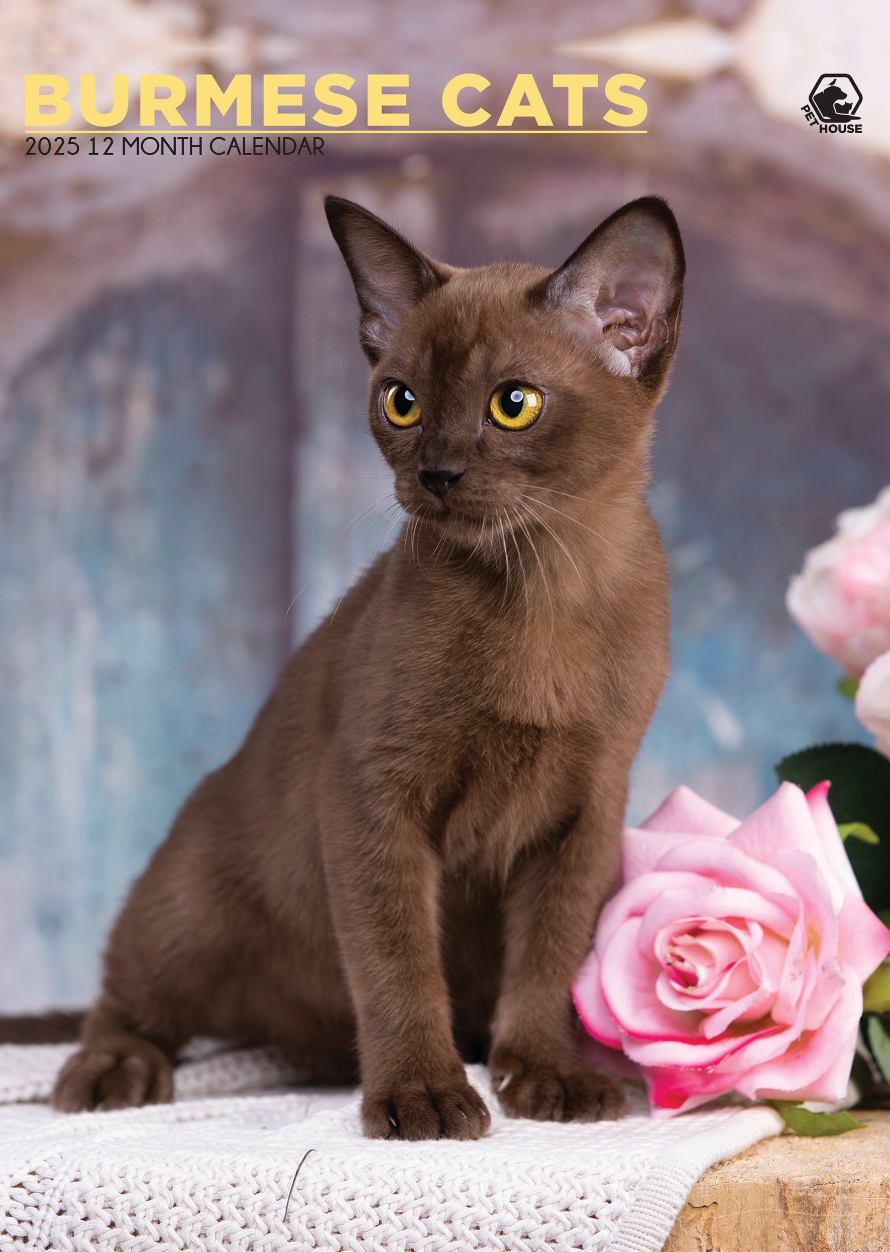 Burmese Cats Calendar 2025 CalendarsRus