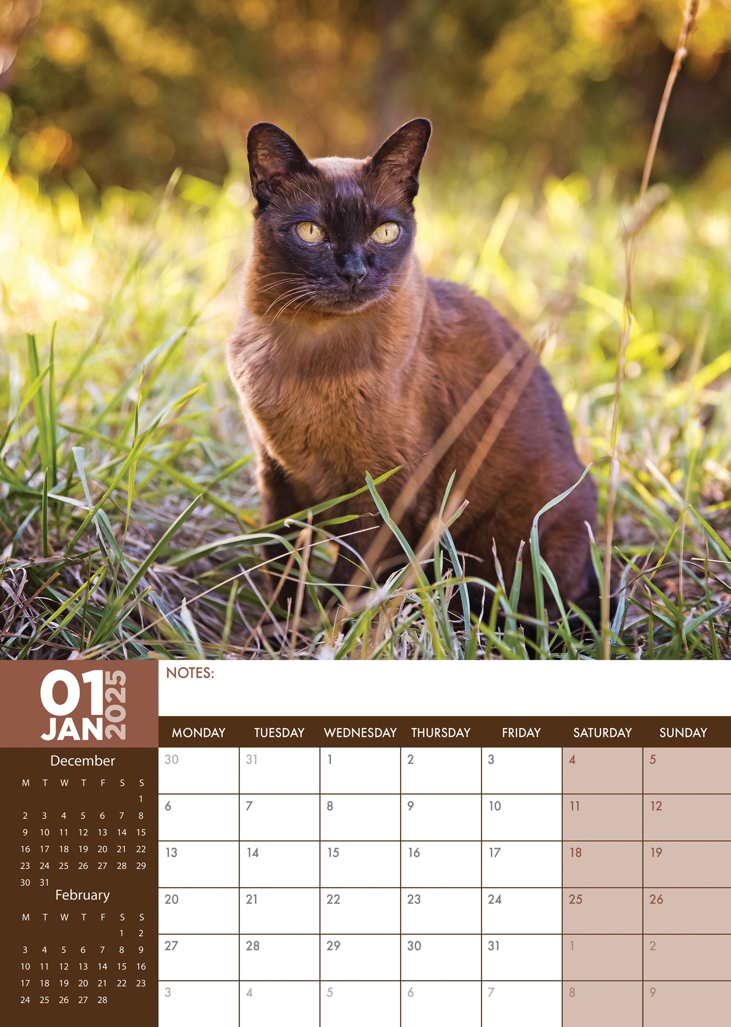 Burmese Cats Calendar 2025