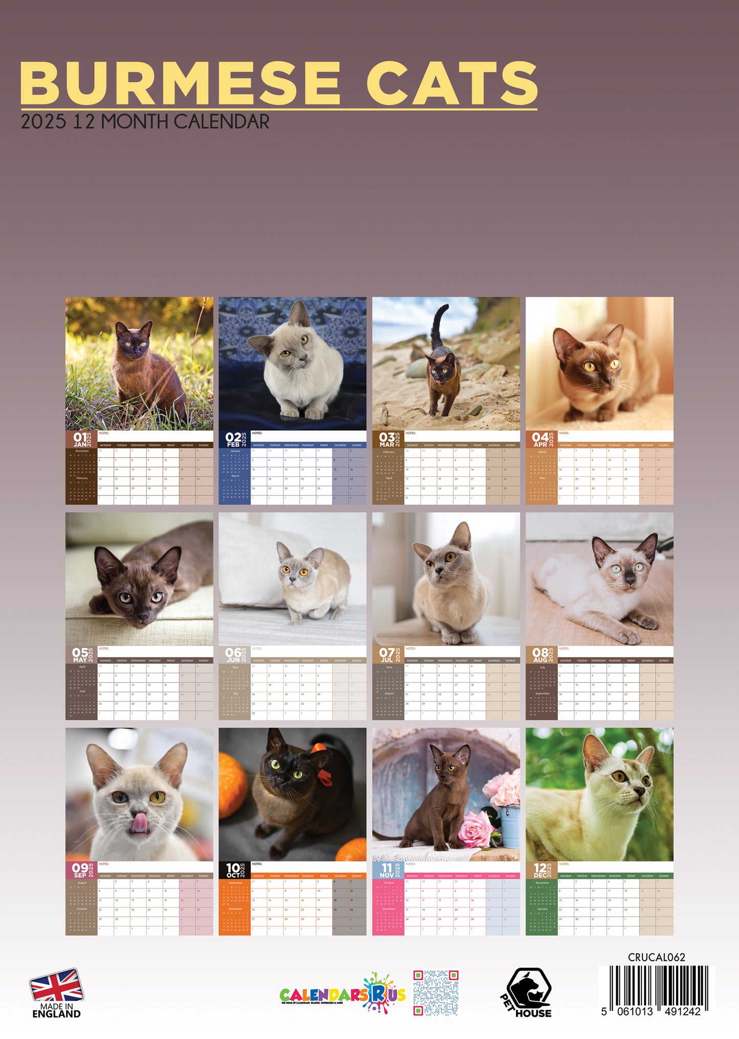 Burmese Cats Calendar 2025