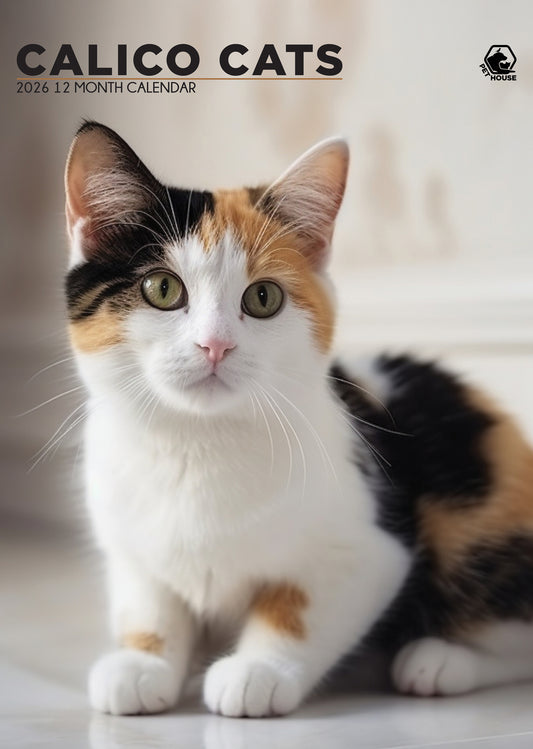 Calico Cats - A3 Wholesale