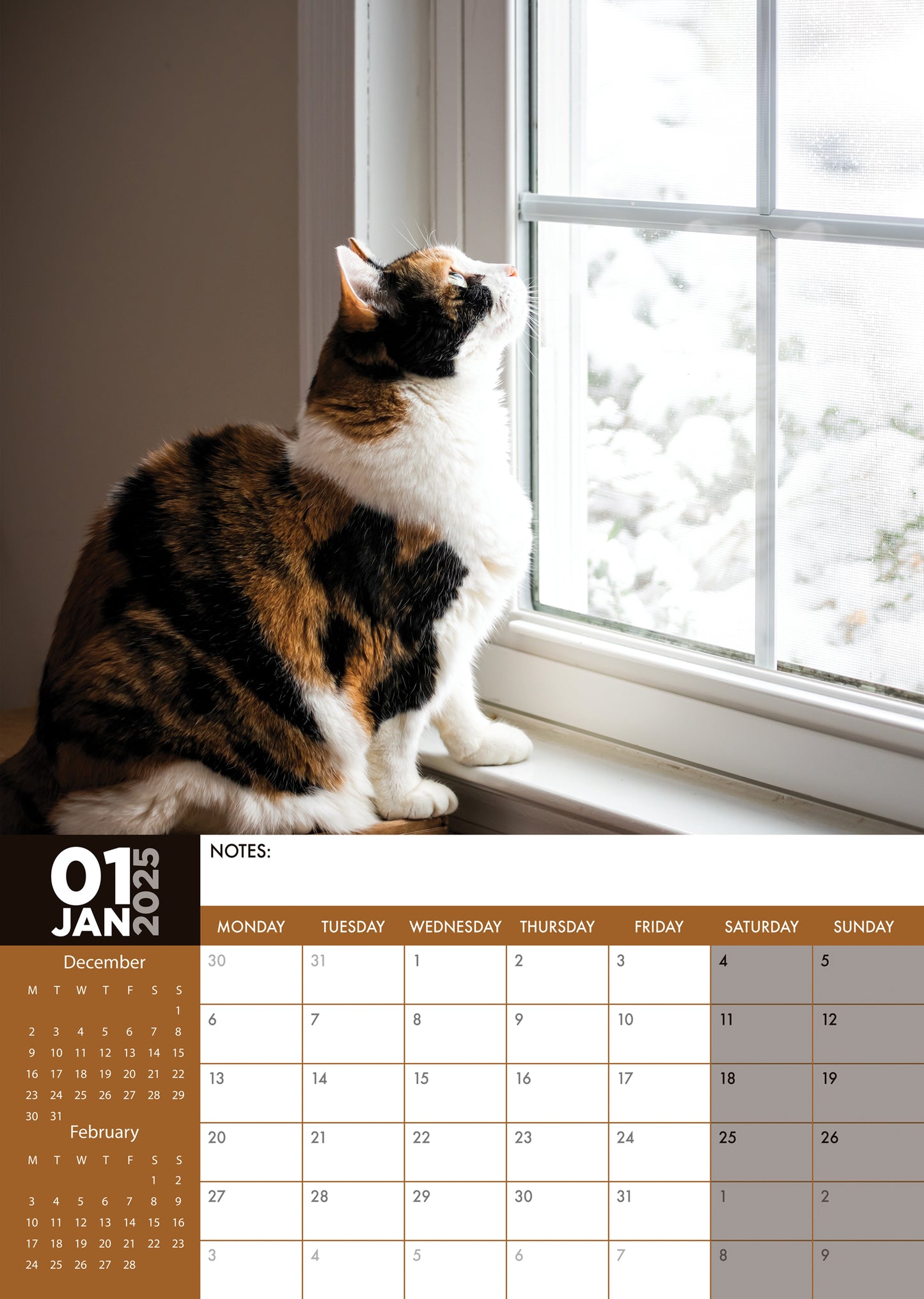 Calico Cats Calendar 2025