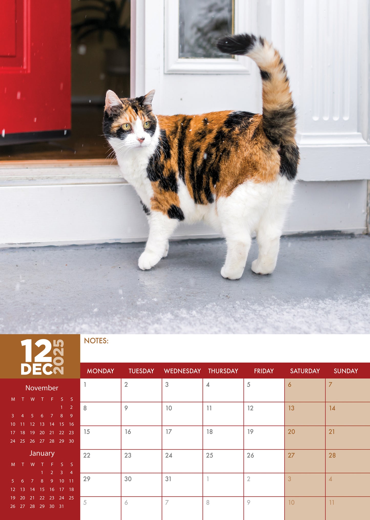 Calico Cats Calendar 2025